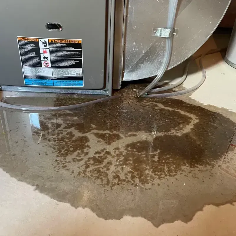 Appliance Leak Cleanup in Magee, MS